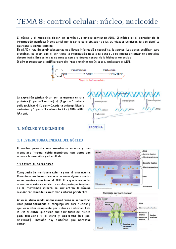 Miniatura del documento TEMA-8-CONTROL-CELULAR.pdf