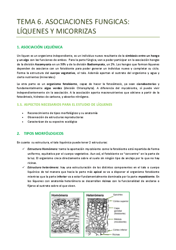 Miniatura del documento TEMA-6-BOTANICA-LIQUENES.pdf