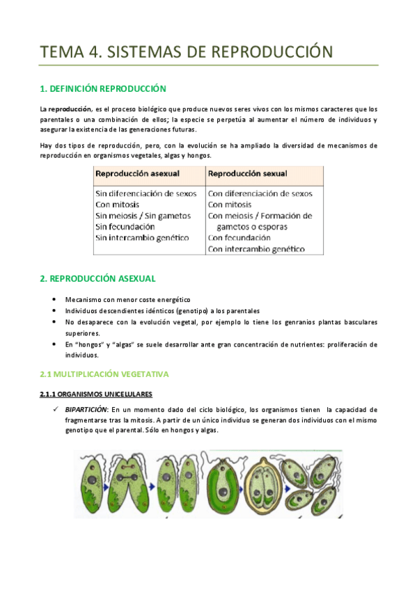 Miniatura del documento TEMA-4-BOTANICA-REPRODUCCION.pdf