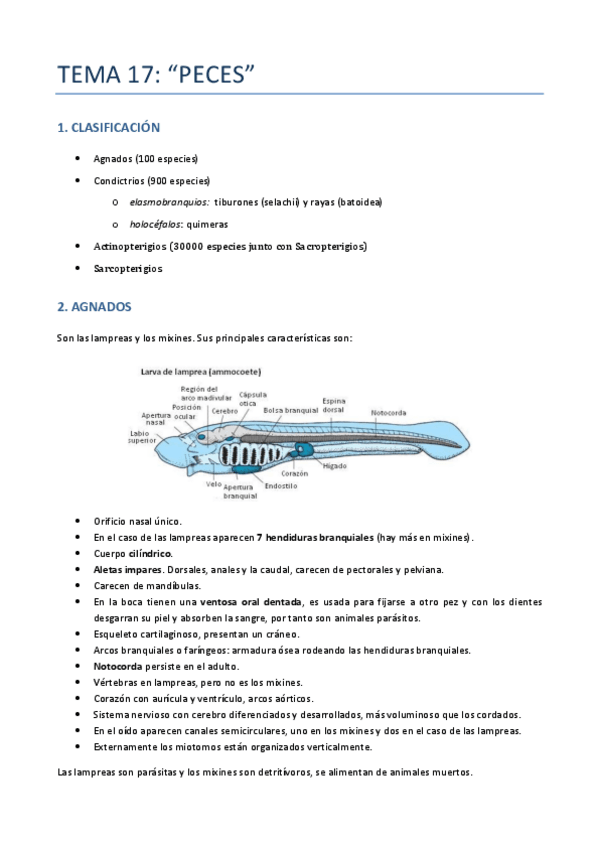 Miniatura del documento TEMA-17-ZOO-PECES.pdf