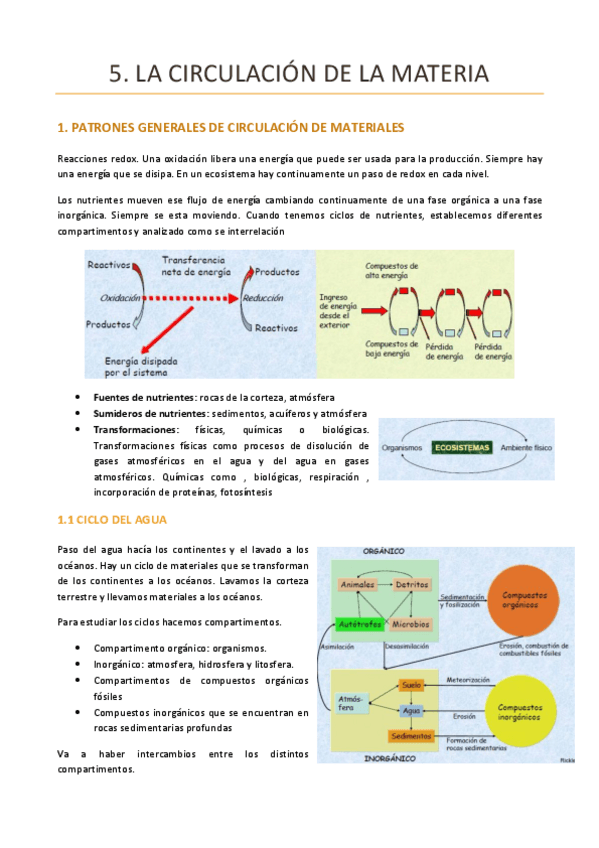 Miniatura del documento TEMA-5-ECOLOGIA.pdf