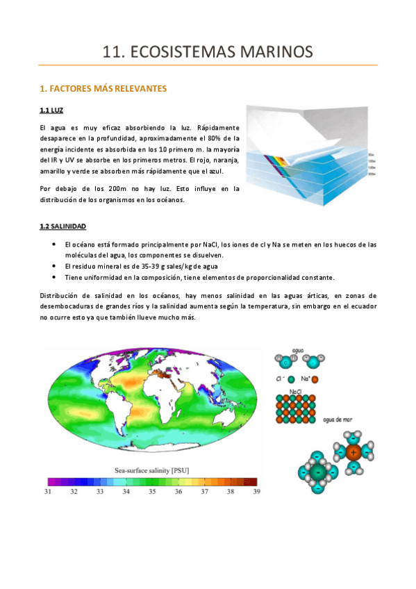Miniatura del documento TEMA-11-ECOLOGIA.pdf