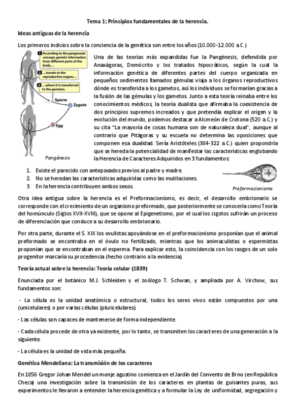 Miniatura del documento TEMA-1-Principios-fundamentales-de-la-herencia.pdf