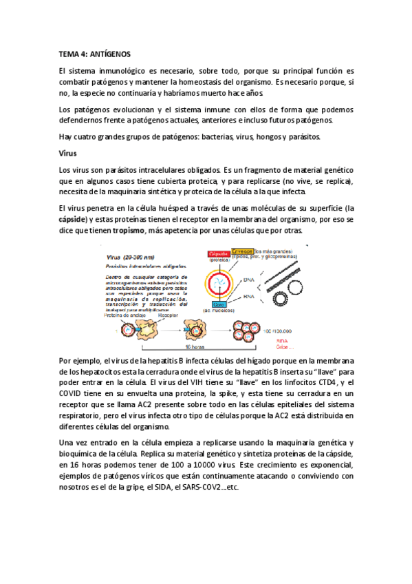 Miniatura del documento TEMA-4.pdf