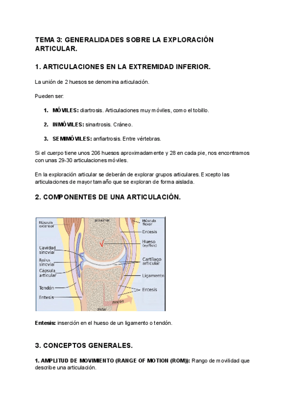 Miniatura del documento TEMA-3-GENERALIDADES-SOBRE-LA-EXPLORACION-ARTICULAR.pdf