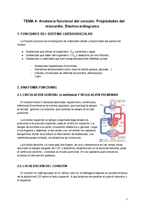 Miniatura del documento 4FH-Sistema-cardiovascular-.pdf