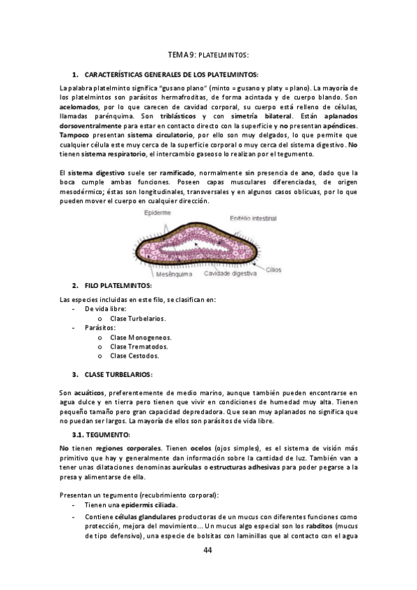 Miniatura del documento Tema-9-Platelmintos.pdf