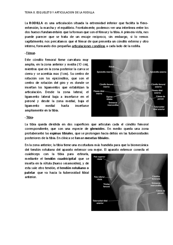 Miniatura del documento TEMA-8.pdf
