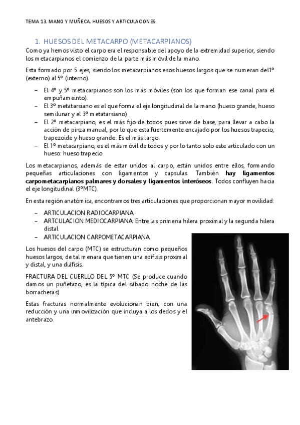 Miniatura del documento TEMA-13.pdf