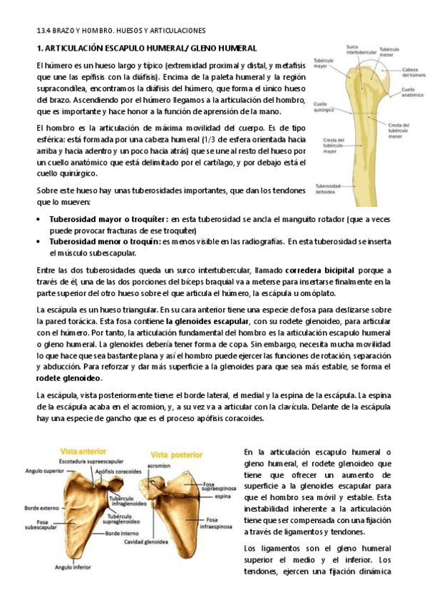 Miniatura del documento TEMA-13.pdf