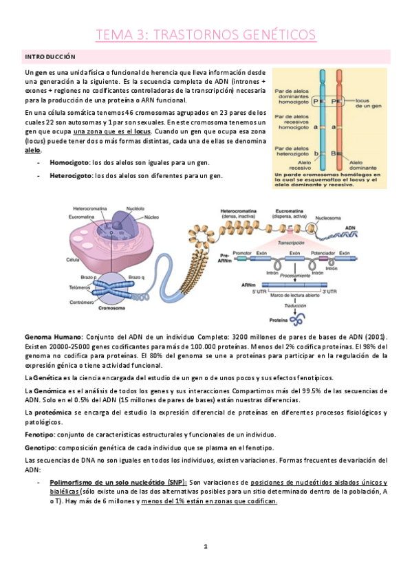 Miniatura del documento Tema-3.pdf