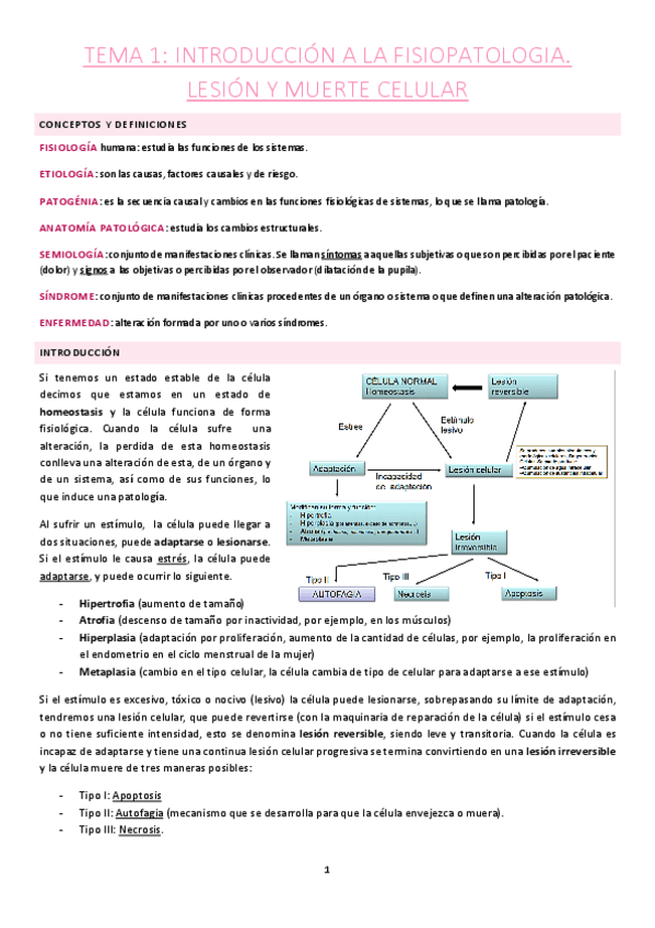 Miniatura del documento Tema-1.pdf