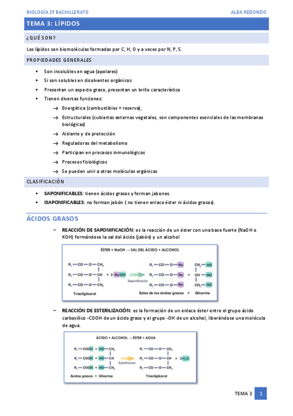 Miniatura del documento TEMA-3.pdf