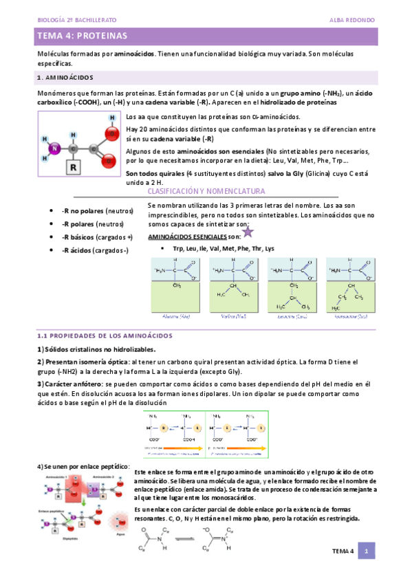 Miniatura del documento TEMA-4-PROTEINAS.pdf