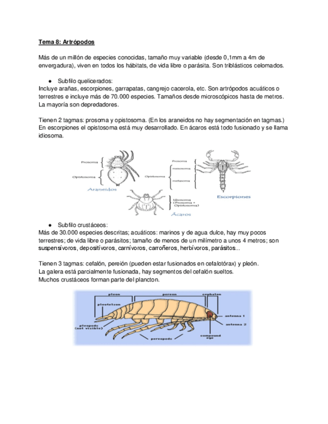 Miniatura del documento Tema-8-fauna.pdf