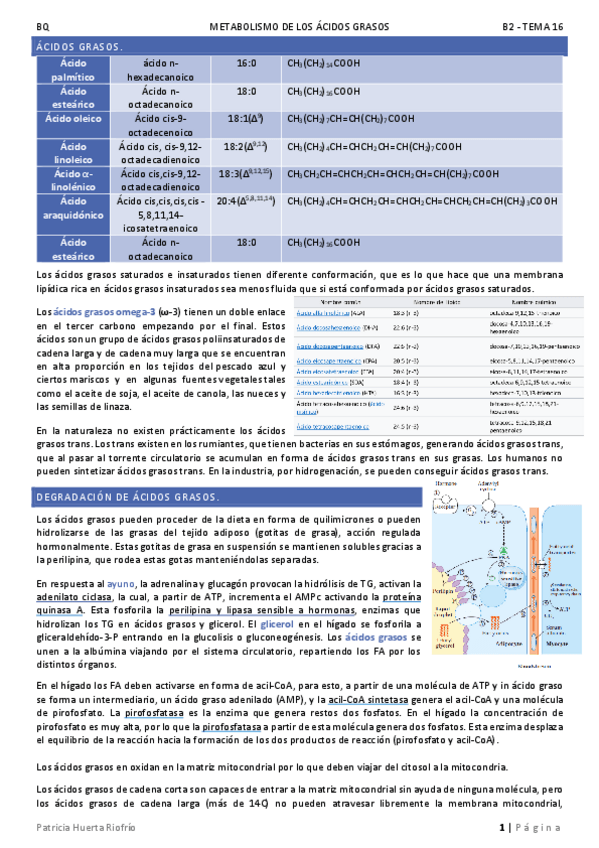 Miniatura del documento T16.pdf