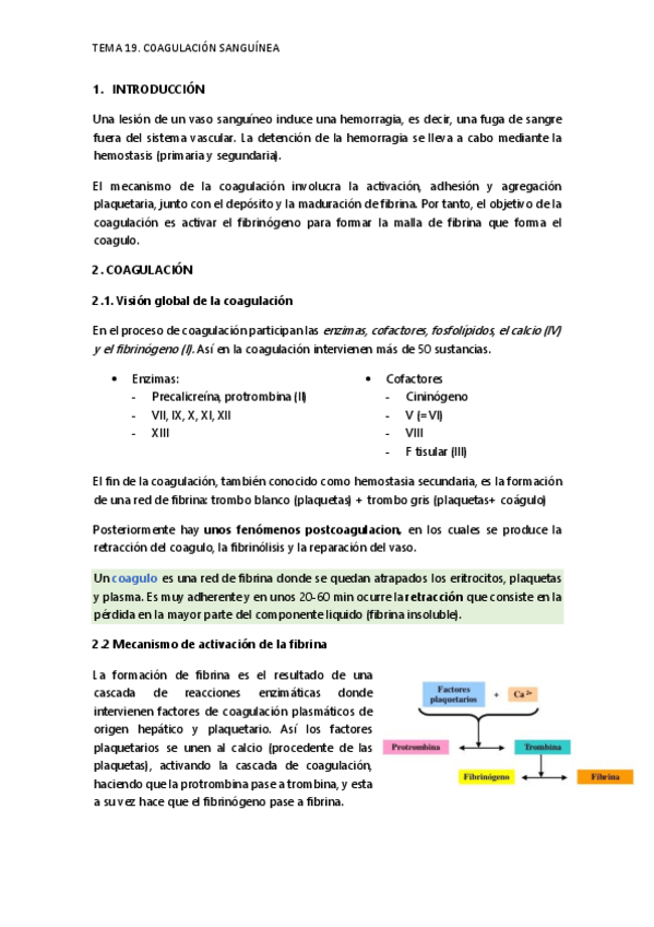 Miniatura del documento COAGULACION-SANGUINEA.pdf