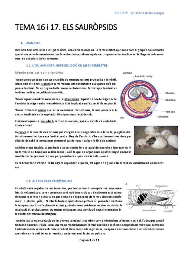 Miniatura del documento tema-16-i-17-2n-parcial.pdf