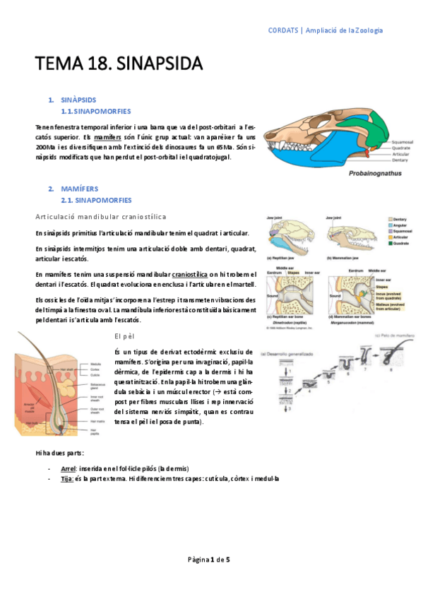 Miniatura del documento tema-18-2n-parcial.pdf