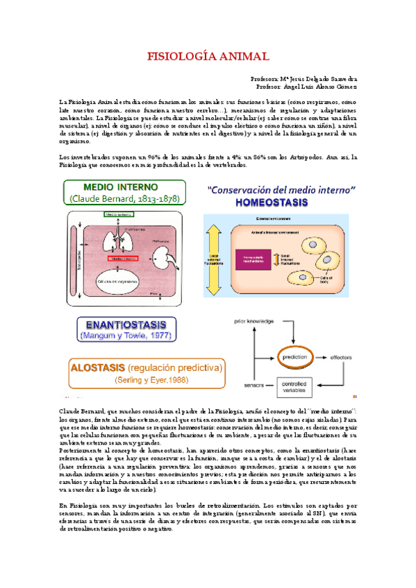 Miniatura del documento Bloque-Sistema-Nervioso.pdf
