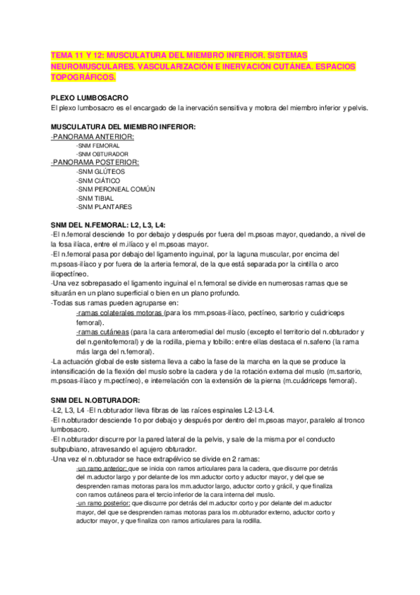 Miniatura del documento T.11-y-12-Musculatura-miembro-inferior.docx