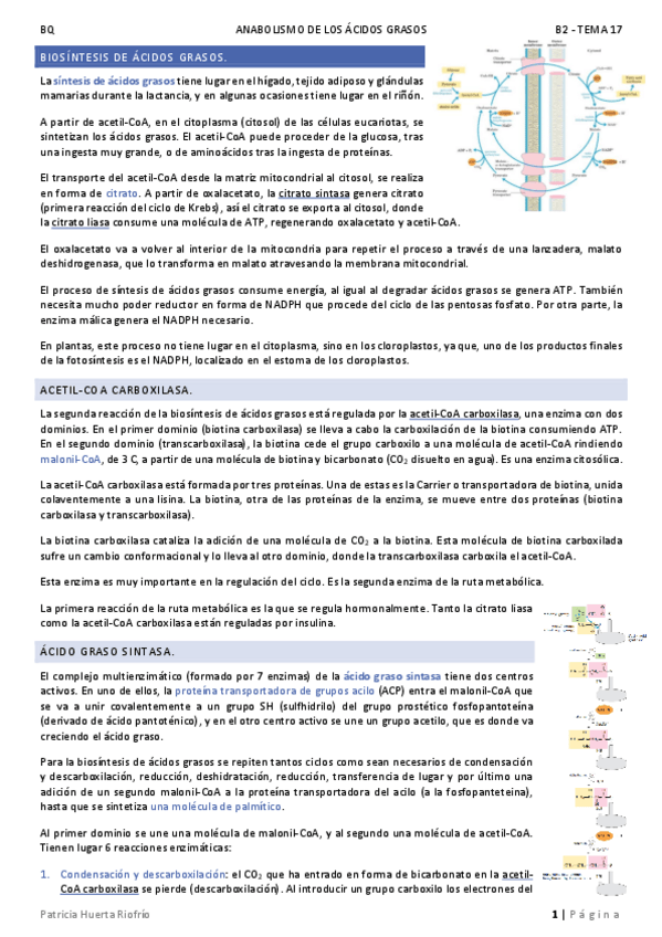 Miniatura del documento T17.pdf
