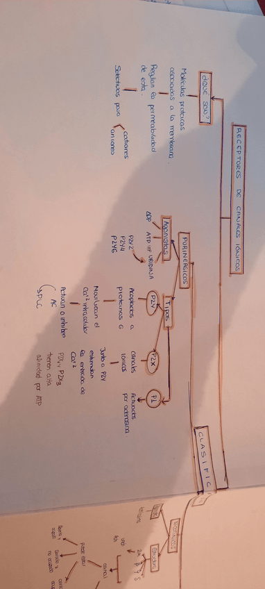Miniatura del documento IMG7074527075539650434-1.pdf