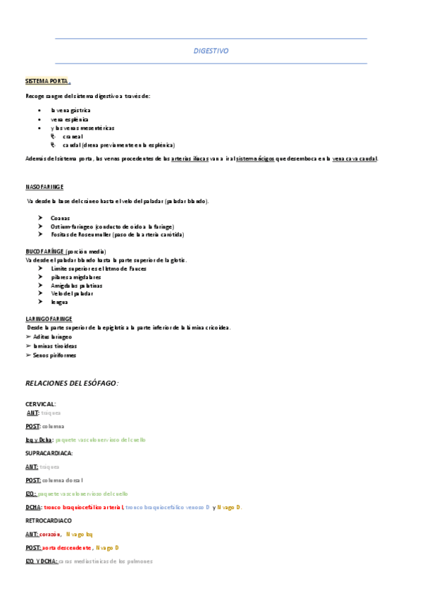 Miniatura del documento DIGESTIVO-COSAS-IMPORTANTES.pdf