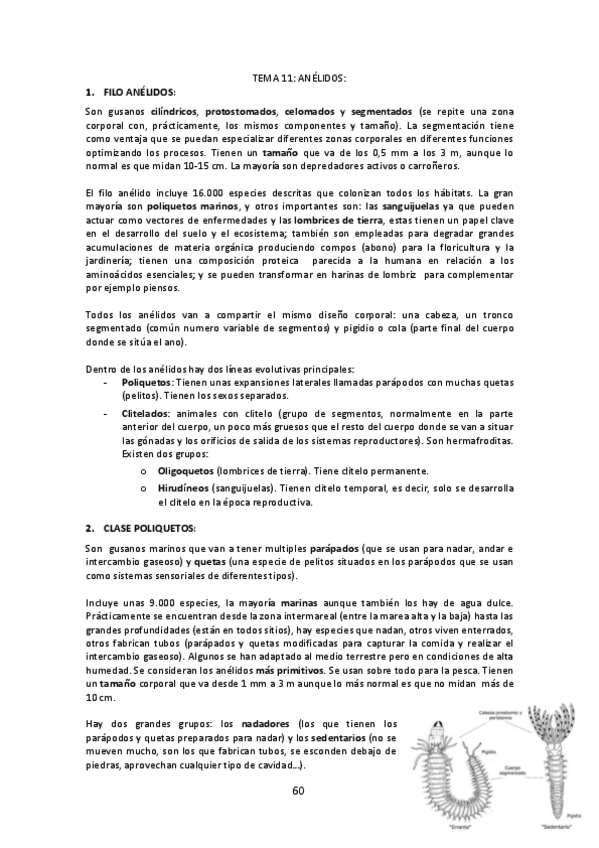 Miniatura del documento Tema-11-Anelidos.pdf