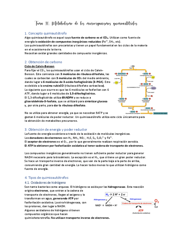 Miniatura del documento Tema-10.pdf