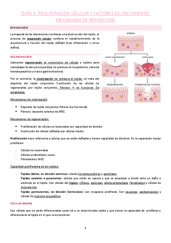Miniatura del documento Tema-5.pdf