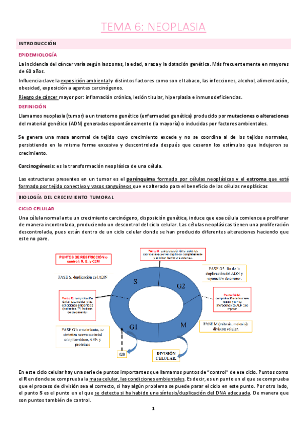Miniatura del documento Tema-6.pdf