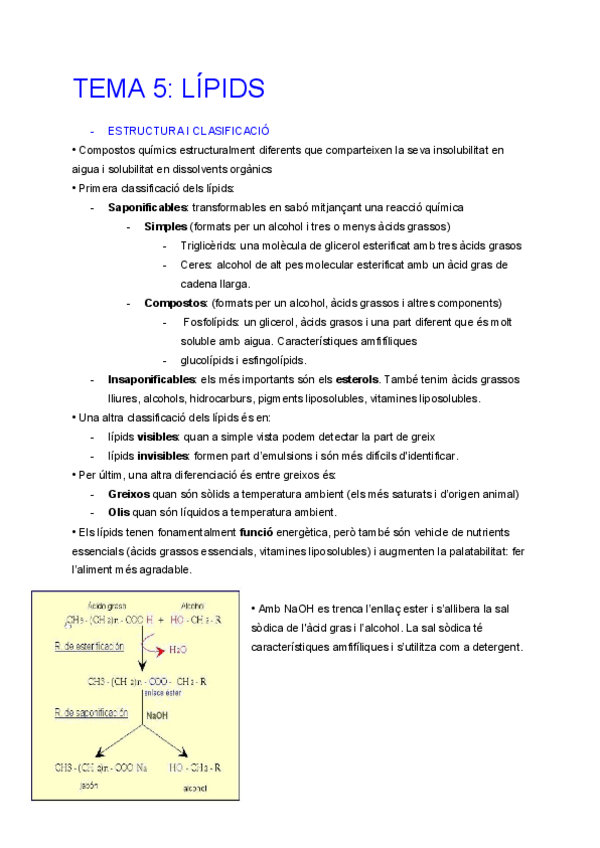 Miniatura del documento Tema-5-Lipids.pdf
