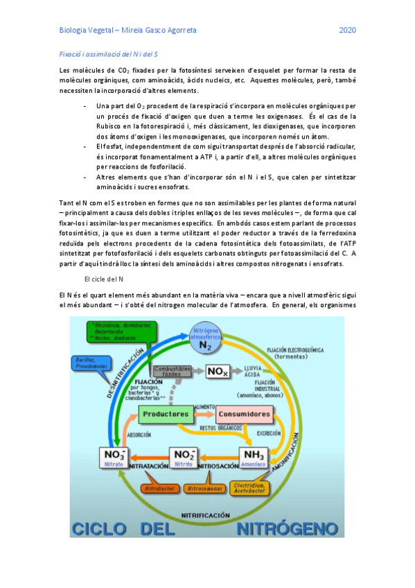 Miniatura del documento BioVegT2_3.pdf