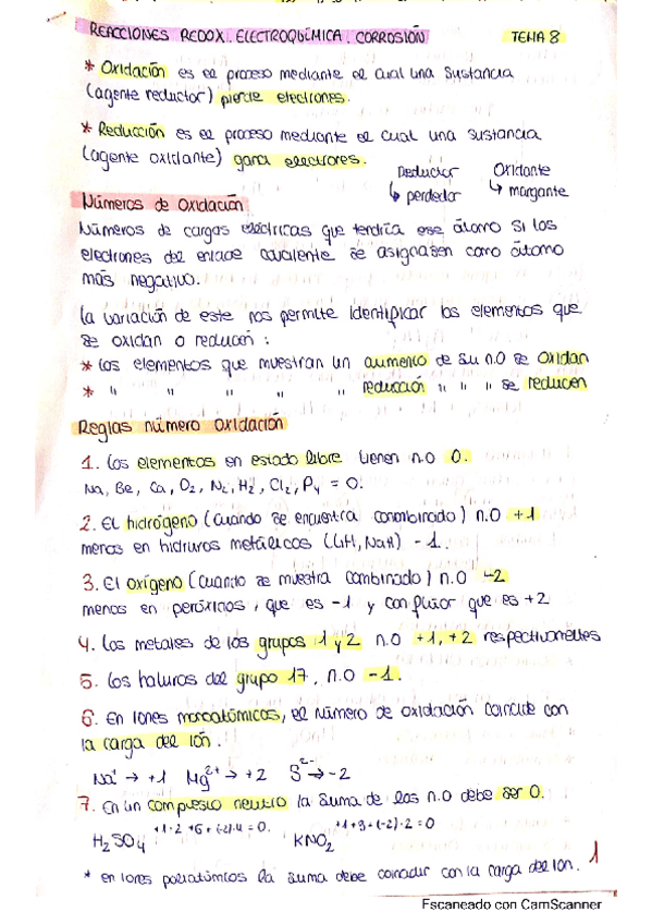 Miniatura del documento 8-Redox.pdf