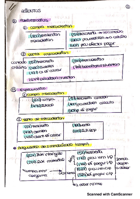 Miniatura del documento INTRODUCCION-CONTABILIDAD-TODOS-LOS-ASIENTOS-ESTRUCTURA.pdf