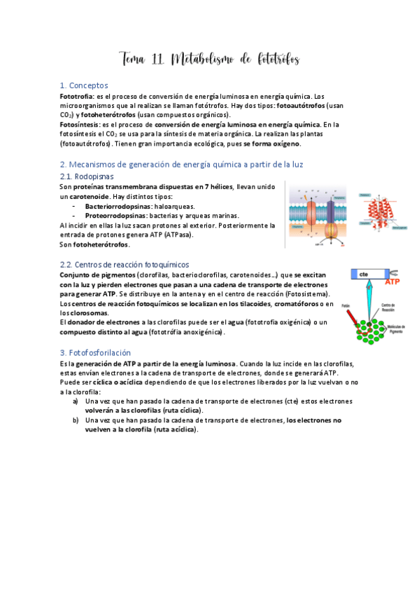 Miniatura del documento Tema-11.pdf