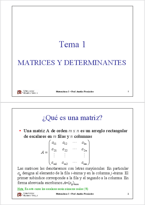 Miniatura del documento apuntes_tema_1.pdf