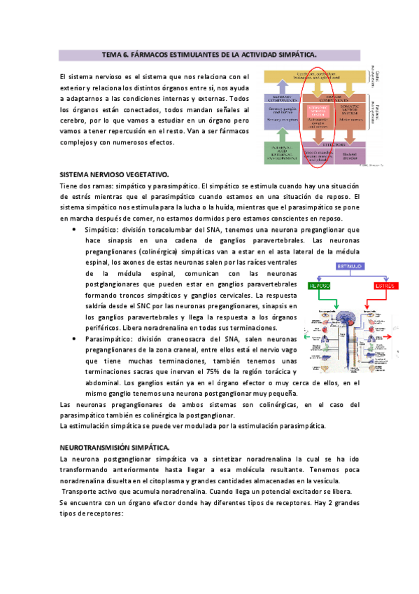 Miniatura del documento TEMA-6.pdf