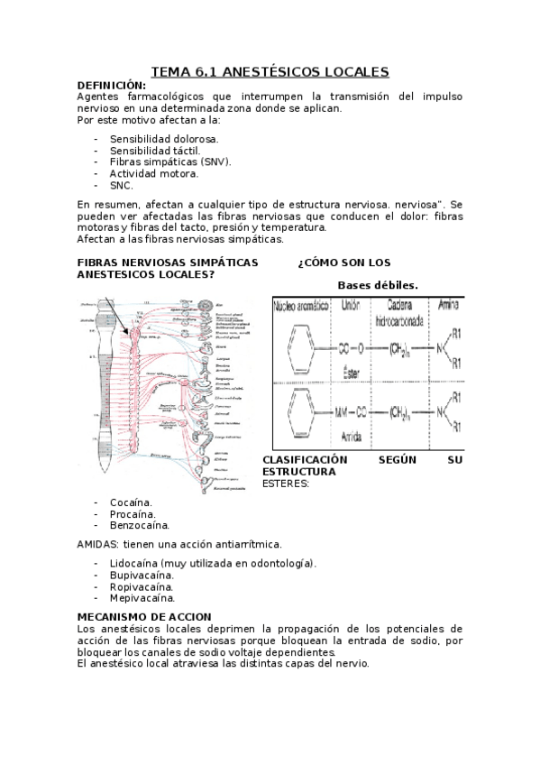 Miniatura del documento TEMA-6.docx