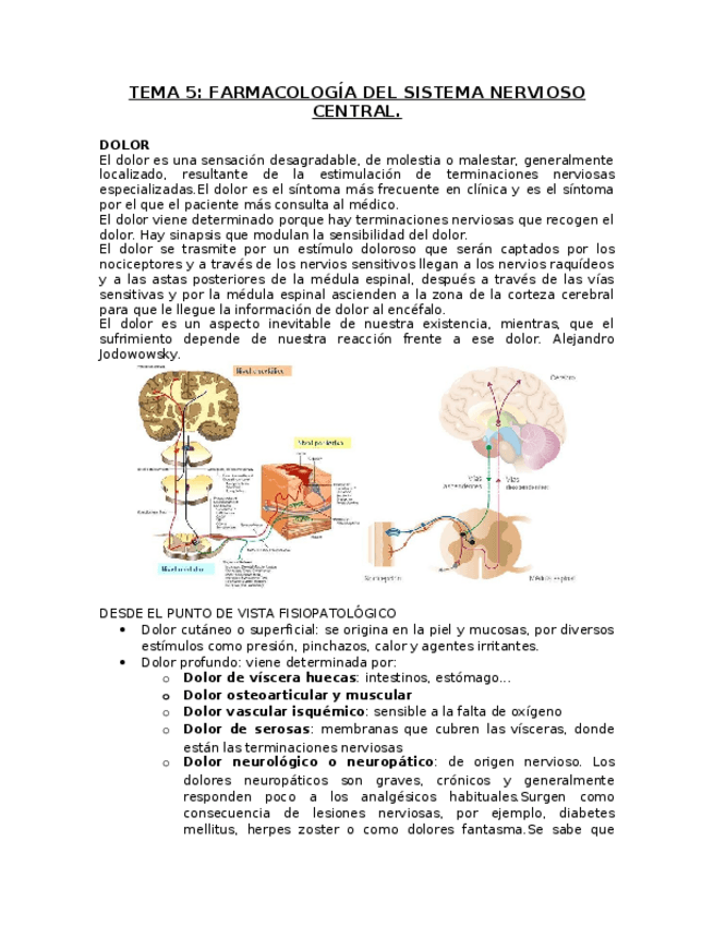 Miniatura del documento TEMA-5.docx