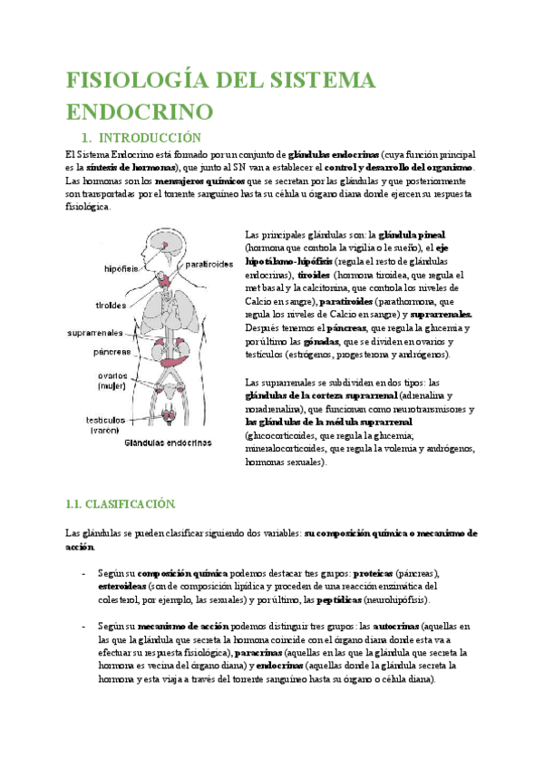 Miniatura del documento FISIOLOGIA-DEL-SISTEMA-ENDOCRINO.pdf