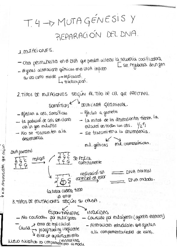Miniatura del documento Mutagenesis-y-reparacion.pdf