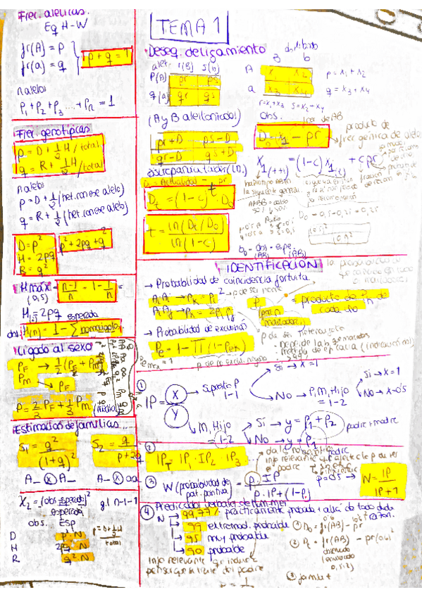 Miniatura del documento FORMULAS.pdf