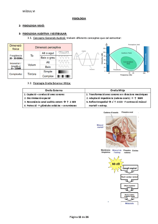 Miniatura del documento Fisiologia M6 Bloc 2.pdf