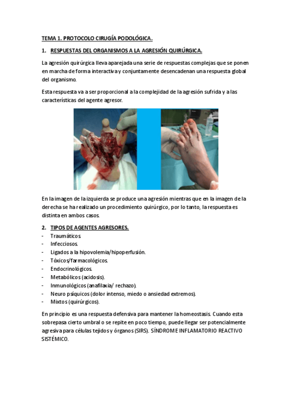 Miniatura del documento TEMA-1.pdf