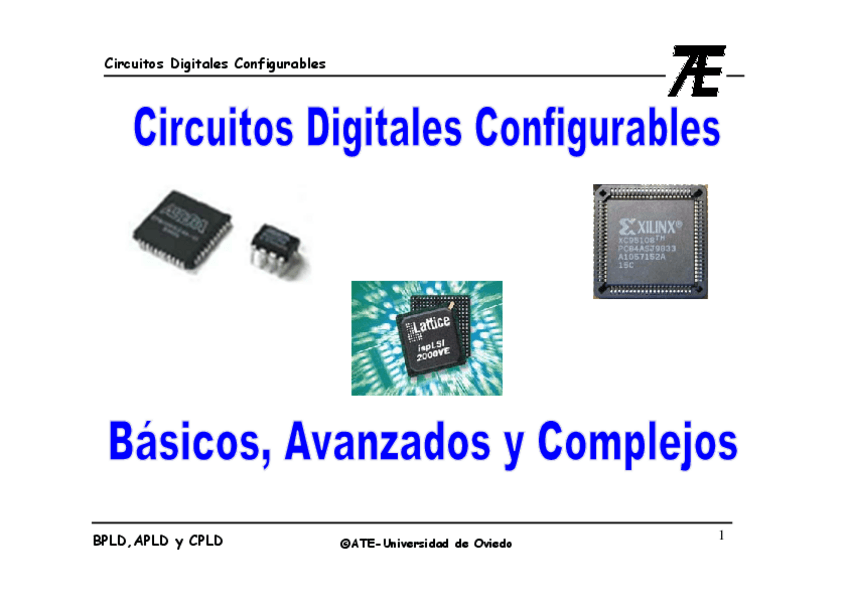 Miniatura del documento BACPLDs-3.pdf