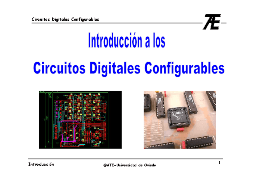 Miniatura del documento Introduccion-a-los-CDCs.pdf