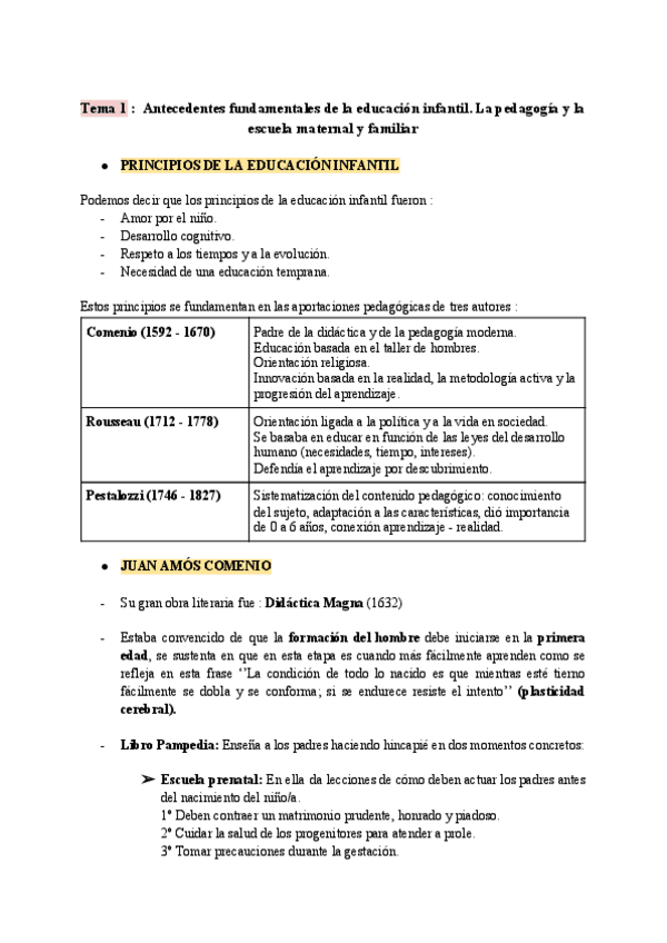 Miniatura del documento Tema-1-Antecedentes-fundamentales-de-la-educacion-infantil.pdf