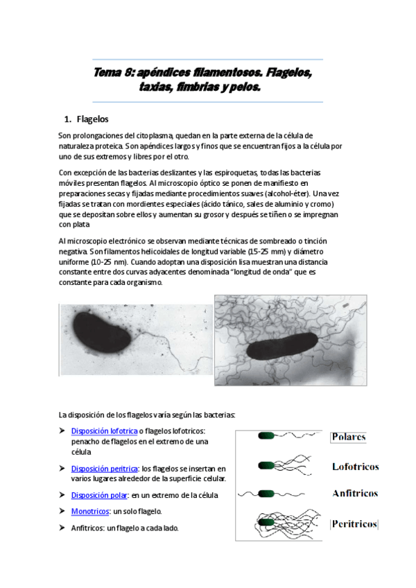 Miniatura del documento tema-8-microremoved.pdf